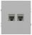 Розетка ЭРА Arktik 16-3108-03 информационная двойная 2XRJ45 алюминий Розетка ЭРА Arktik 16-3108-03 информационная двойная 2XRJ45 алюминий