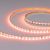 Лента RT-H96-5mm 24V RGBW-Warm-4-in-1 (10 W/m, IP20, 5m) (Arlight, узкая) Лента RT-H96-5mm 24V RGBW-Warm-4-in-1 (10 W/m, IP20, 5m) (Arlight, узкая)