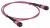 ITK Сборка кабельная MTPm-MTPm тип B 12 MM OM4 21м ITK Сборка кабельная MTPm-MTPm тип B 12 MM OM4 21м